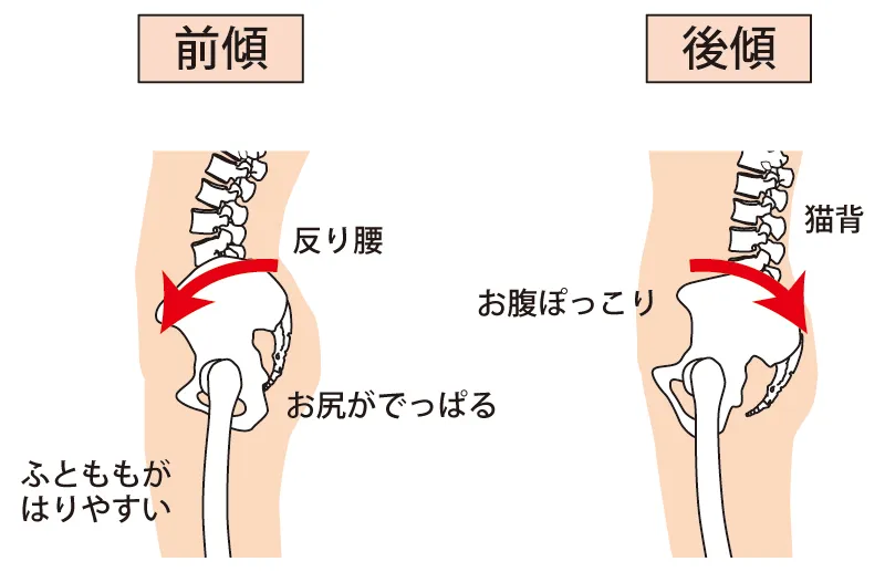 本町駅周辺のデスクワーカーに多い、巻き肩や猫背を改善するための専門的な姿勢チェック